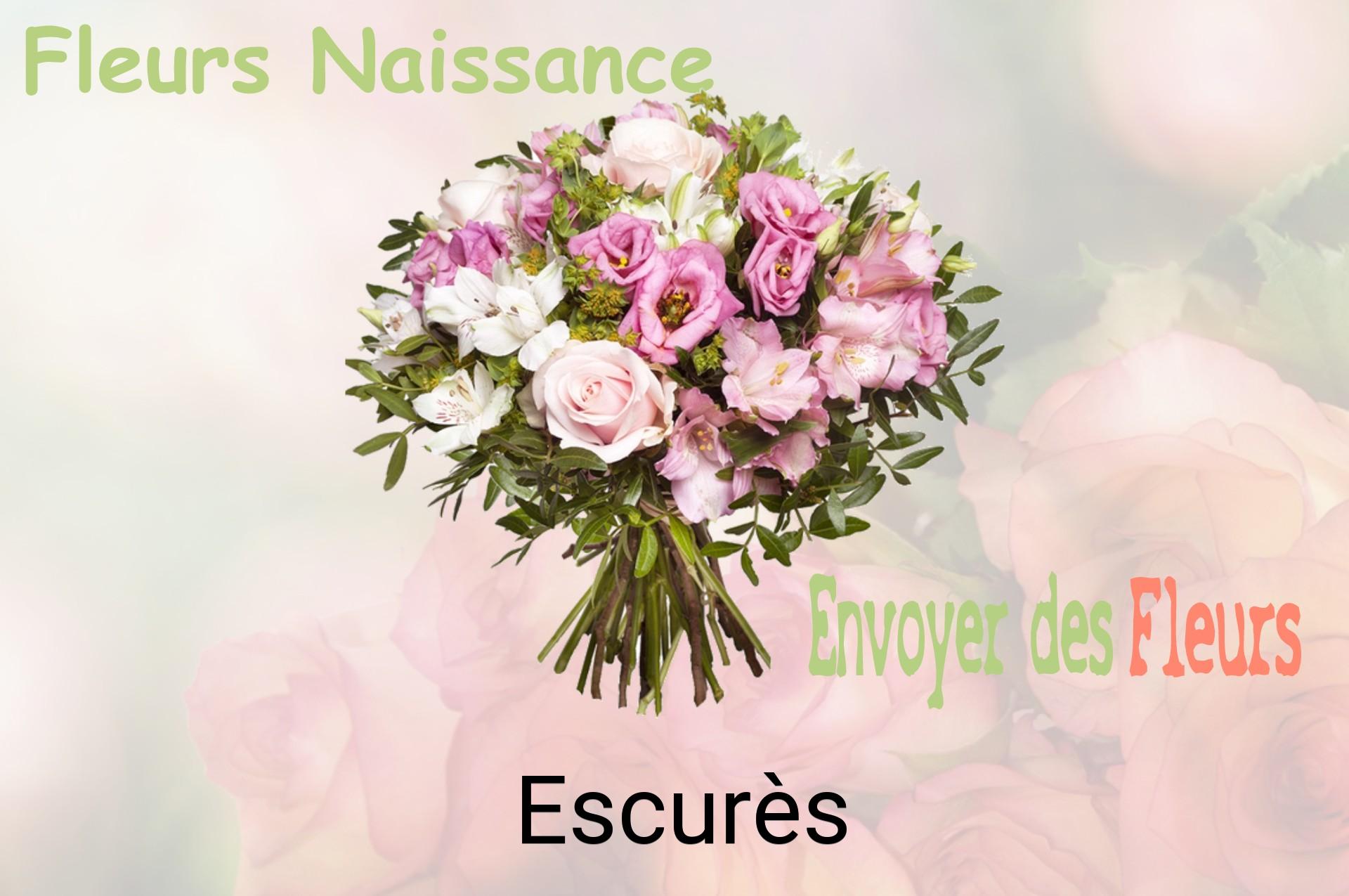 Bouquet de fleurs de naissance livré à Escurès