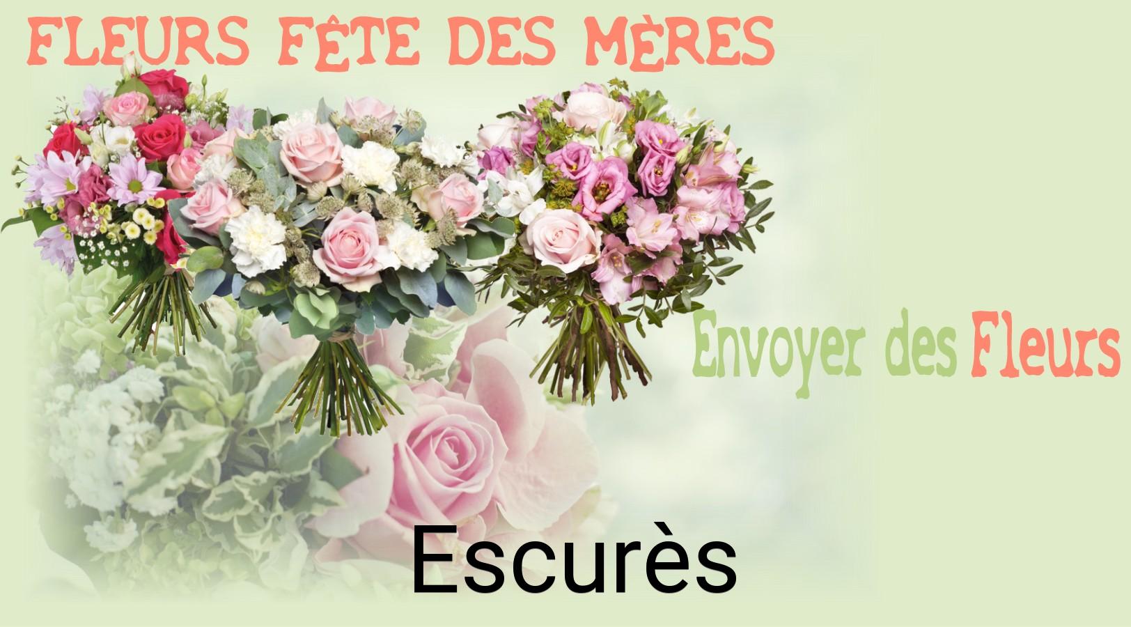 Bouquet de Fête des Mères livré à Escurès